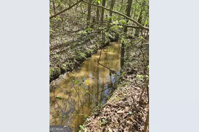 0 Maple Grove Church Rd, Chatsworth, GA 30705 - Photo 4