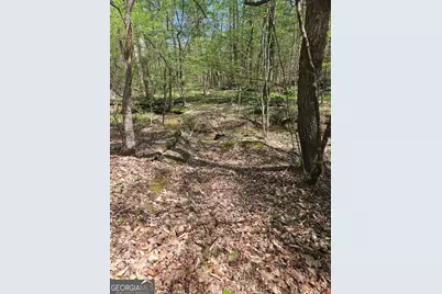 0 Maple Grove Church Rd, Chatsworth, GA 30705 - Photo 12