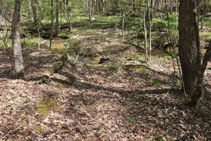 0 Maple Grove Church Rd, Chatsworth, GA 30705 - Photo 12