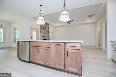 133 Woodford Drive, Roopville, GA 30170 - Photo 22