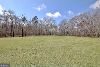 967 Tope Road, Sharpsburg, GA 30277 - Photo 92