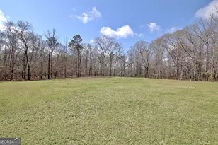 967 Tope Rd, Sharpsburg, GA 30277 - Photo 92