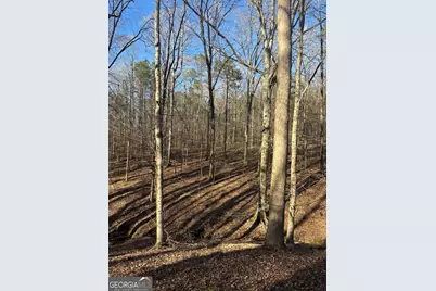 0 Robert Hodnett Road, Pine Mountain, GA 31822 - Photo 14