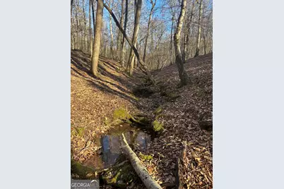 0 Robert Hodnett Road, Pine Mountain, GA 31822 - Photo 16