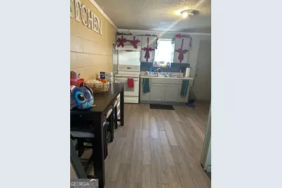 233 Mlk Jr Dr, Ashburn, GA 31714 - Photo 16