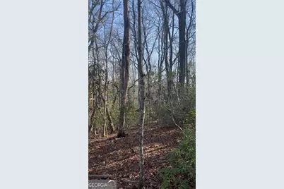 0 Highland Trail, Cleveland, GA 30528 - Photo 2