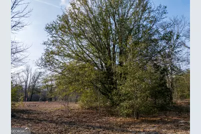 4.12 Acres Ga Hwy 24, Sardis, GA 30456 - Photo 24