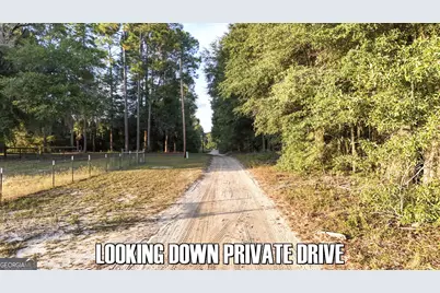 4.12 Acres Ga Hwy 24, Sardis, GA 30456 - Photo 30