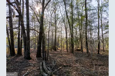4.12 Acres Ga Hwy 24, Sardis, GA 30456 - Photo 12