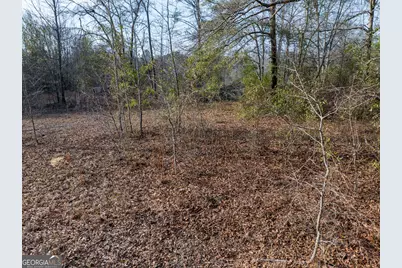 4.12 Acres Ga Hwy 24, Sardis, GA 30456 - Photo 8