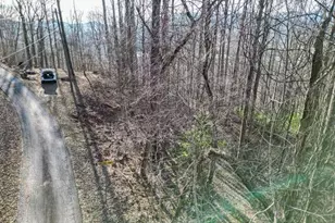 0 Chestnut Mountain Dr, Rabun Gap, GA 30568 - Photo 1