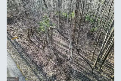 0 Chestnut Mountain Drive, Rabun Gap, GA 30568 - Photo 2