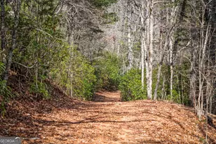 120 Cohutta Rnch Rd, Blue Ridge, GA 30513 - Photo 90