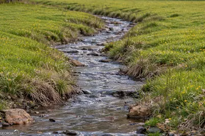 120 Cohutta Ranch Road, Blue Ridge, GA 30513 - Photo 4