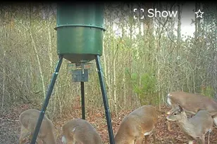 340 Noles Rd, Franklin, GA 30217 - Photo 30