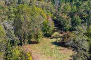 340 Noles Rd, Franklin, GA 30217 - Photo 26