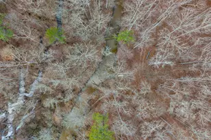 340 Noles Rd, Franklin, GA 30217 - Photo 22