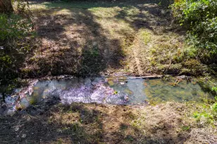 340 Noles Rd, Franklin, GA 30217 - Photo 24