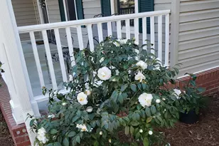 2118 Deer Run Cir, Tifton, GA 31793 - Photo 42