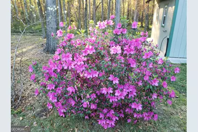 2118 Deer Run Circle, Tifton, GA 31793 - Photo 44