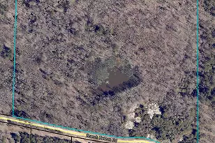 0 Branch Hebron Rd, Greenville, GA 30222 - Photo 1