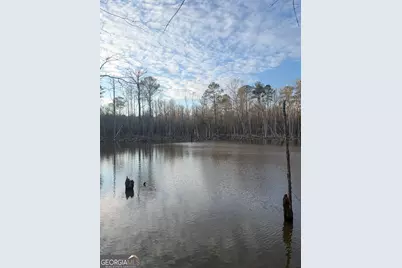 0 Branch Hebron Road, Greenville, GA 30222 - Photo 4