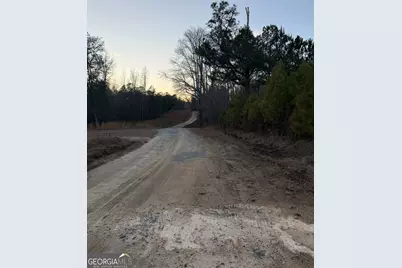 0 Branch Hebron Road, Greenville, GA 30222 - Photo 8