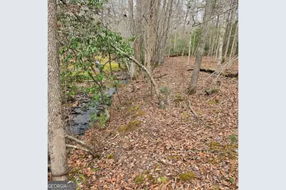 8.5 Blue Berry Ridge, Morganton, GA 30560 - Photo 4