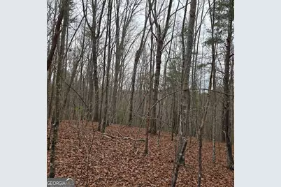 8.5 Blue Berry Ridge, Morganton, GA 30560 - Photo 28