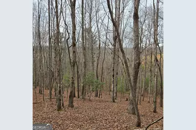 8.5 Blue Berry Ridge, Morganton, GA 30560 - Photo 6