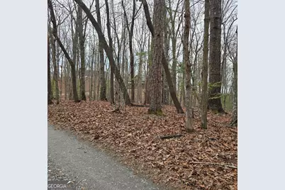 8.5 Blue Berry Ridge, Morganton, GA 30560 - Photo 30