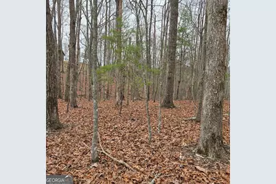 8.5 Blue Berry Ridge, Morganton, GA 30560 - Photo 26
