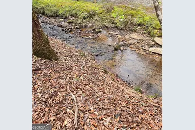8.5 Blue Berry Ridge, Morganton, GA 30560 - Photo 2