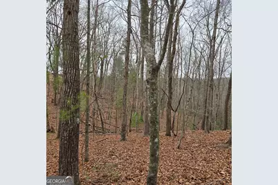 8.5 Blue Berry Ridge, Morganton, GA 30560 - Photo 24