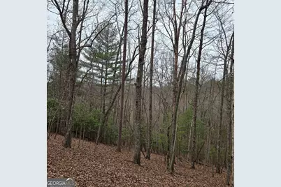 8.5 Blue Berry Ridge, Morganton, GA 30560 - Photo 16