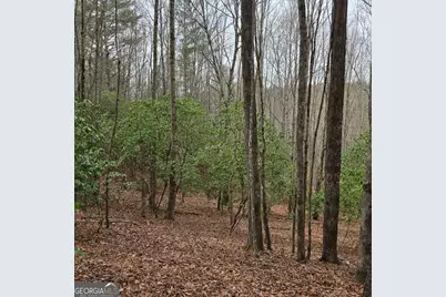 8.5 Blue Berry Ridge, Morganton, GA 30560 - Photo 14