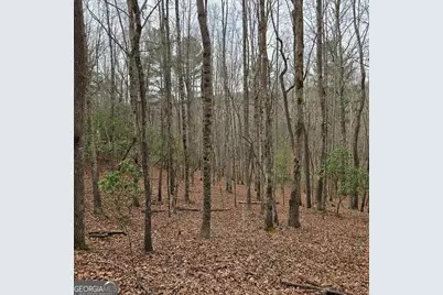 8.5 Blue Berry Ridge, Morganton, GA 30560 - Photo 8