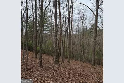 8.5 Blue Berry Ridge, Morganton, GA 30560 - Photo 1