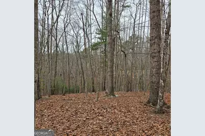 8.5 Blue Berry Ridge, Morganton, GA 30560 - Photo 22