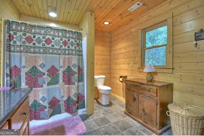 730 Riverside Lane, Blue Ridge, GA 30513 - Photo 76