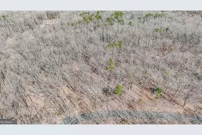 22 Andes Ridge, Jasper, GA 30143 - Photo 6