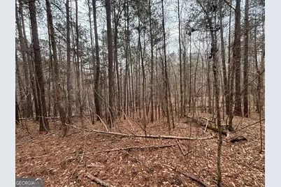 0 Oconee Rd Lot 3, Buckhead, GA 30625 - Photo 6