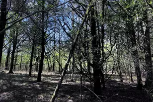 2782 Smith Rd, Fortson, GA 31808 - Photo 2