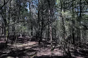 2782 Smith Rd, Fortson, GA 31808 - Photo 6