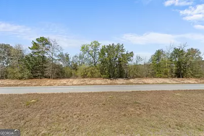 0 Savannah River Parkway, Sylvania, GA 30467 - Photo 14