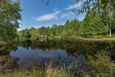 3127 Buttermilk Road, Sylvania, GA 30467 - Photo 4