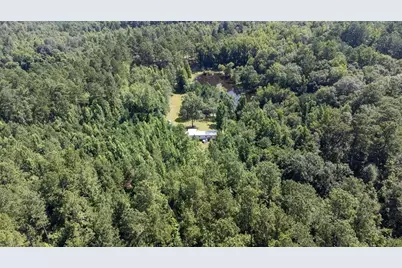 3127 Buttermilk Road, Sylvania, GA 30467 - Photo 26