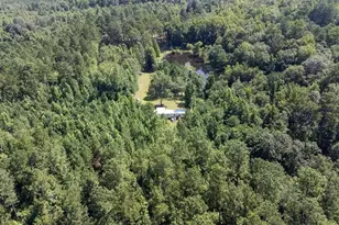 3127 Buttermilk Rd, Sylvania, GA 30467 - Photo 26