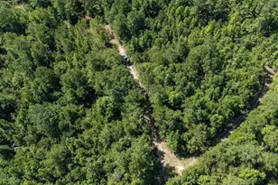 3127 Buttermilk Rd, Sylvania, GA 30467 - Photo 28