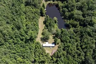 3127 Buttermilk Rd, Sylvania, GA 30467 - Photo 24